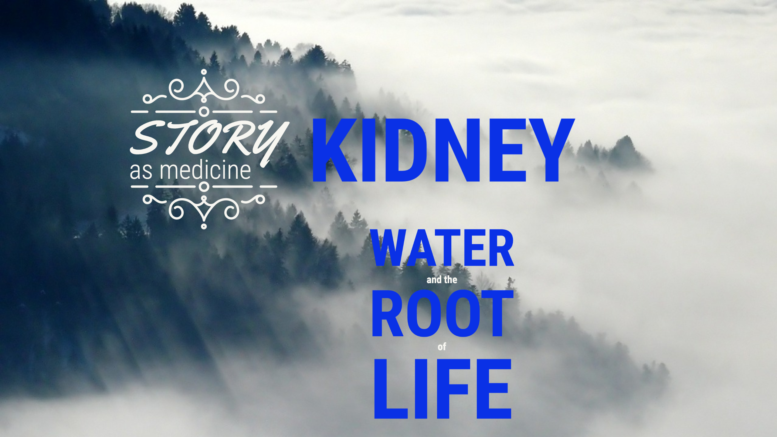 Story as Medicine Kidneys